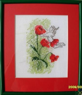 gallery_6783_554_46081.jpg