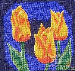 gallery_5152_1177_18575.jpg