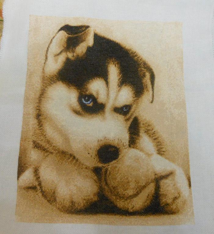 Вышивка собак хасок Вышивка собак хасок